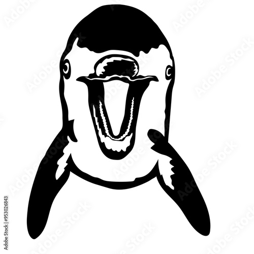 Dolphin Face