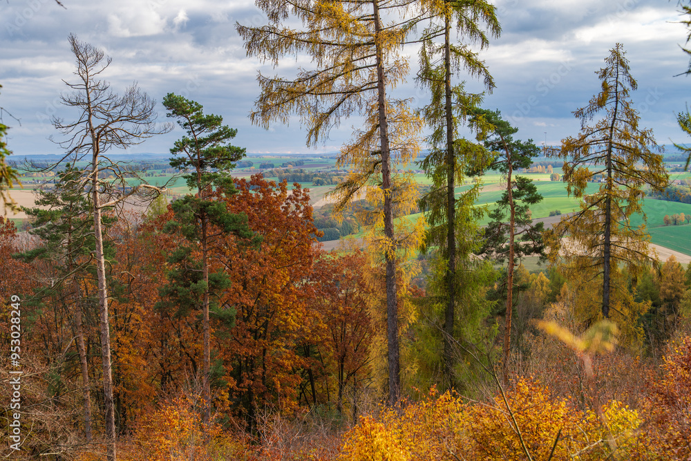 Fototapeta premium Autumn in Johannapark, this is an 11 hectares (27 acres) park near the city center in Leipzig.