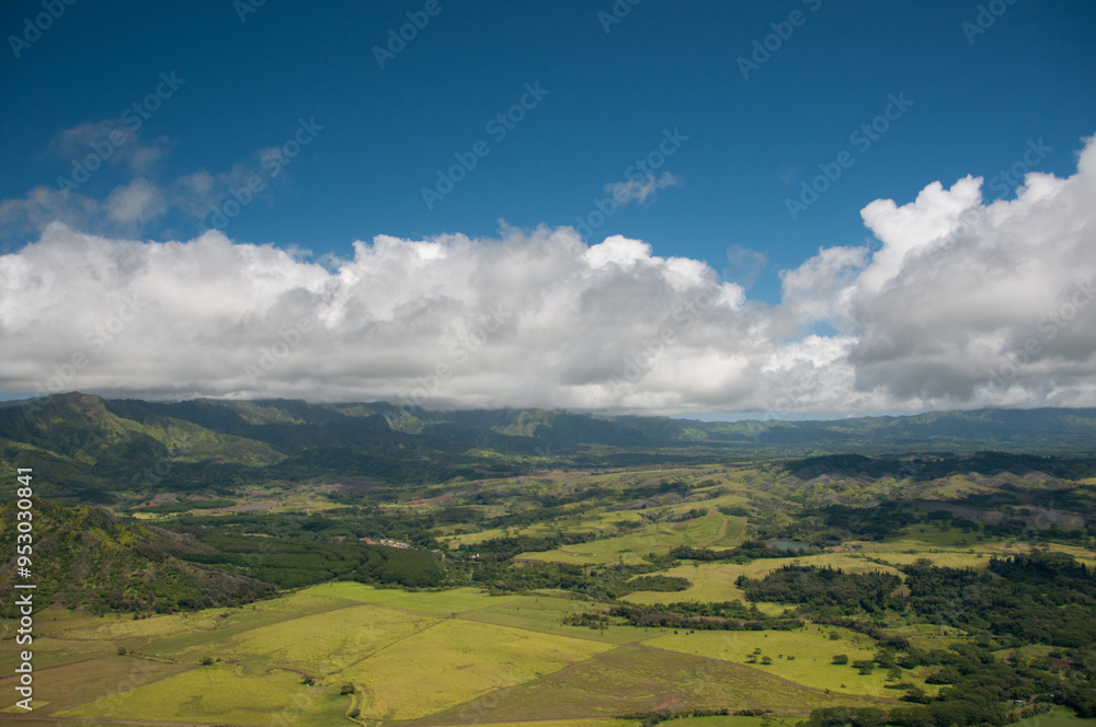 Fototapeta premium Kauai Hawaii from the Air