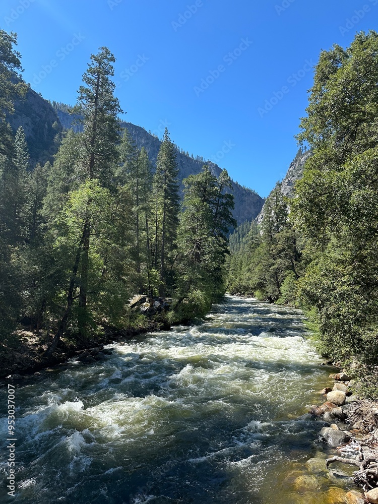 Obraz premium river in the mountains