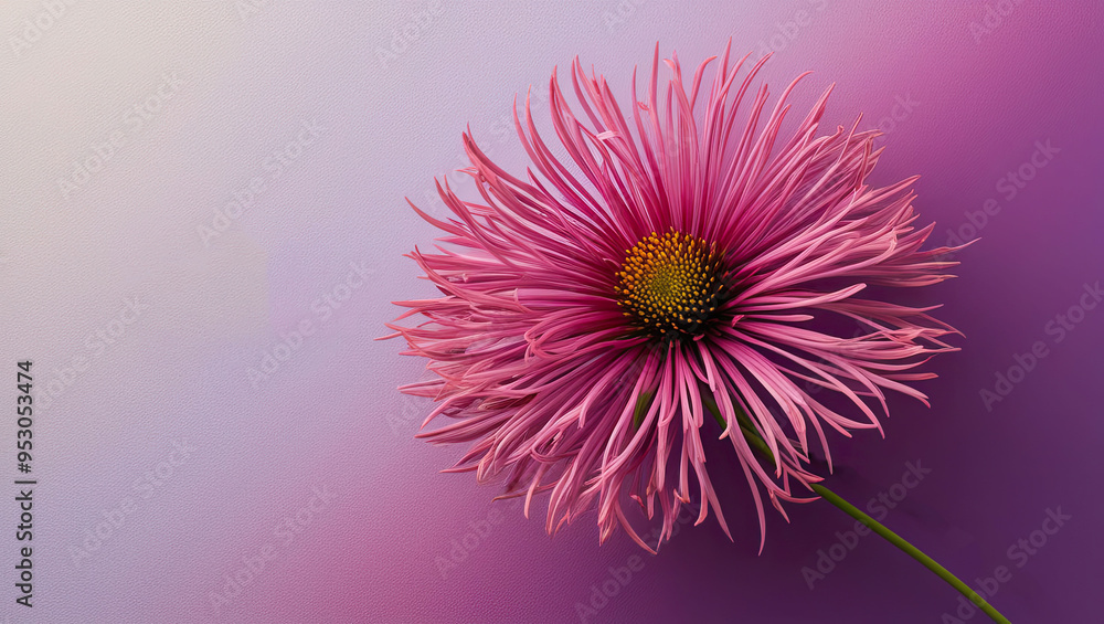 Petal Perfection, Floral Fantasy, Pink Paradise on grainy gradient colorful postcard