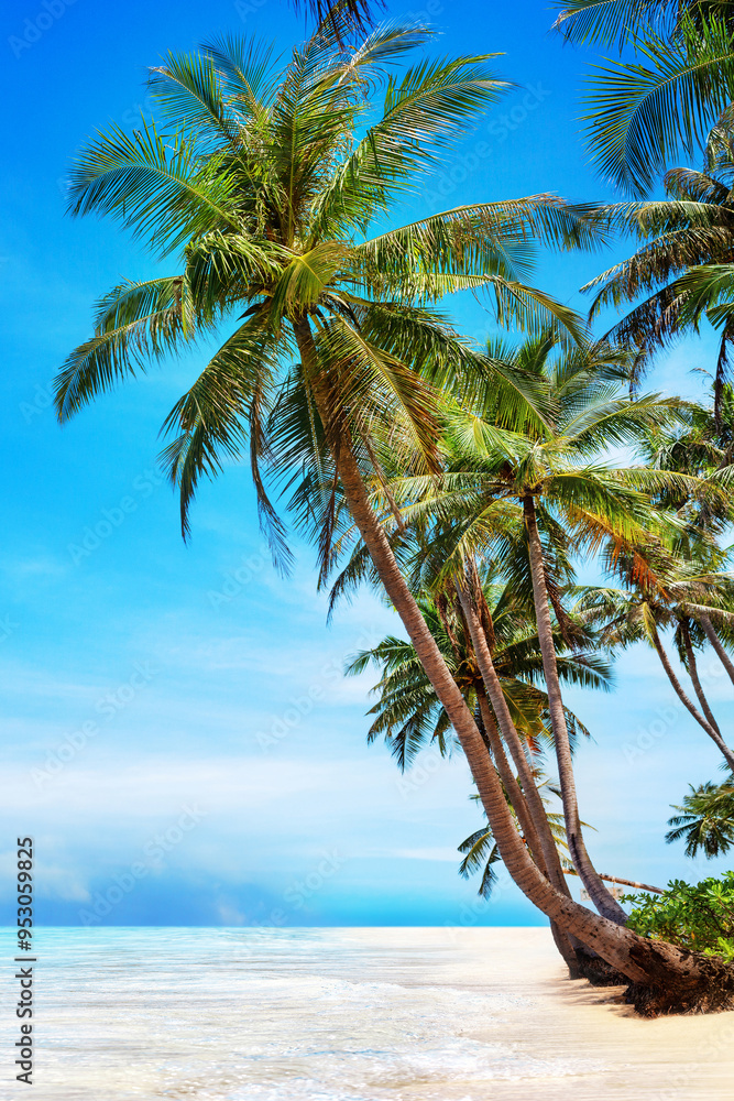 Obraz premium Tropical island sea beach, beautiful paradise nature landscape, turquoise ocean water wave, coconut palm tree leaf, white sand, blue sky, summer holidays vacation travel, Caribbean, Maldives, Thailand