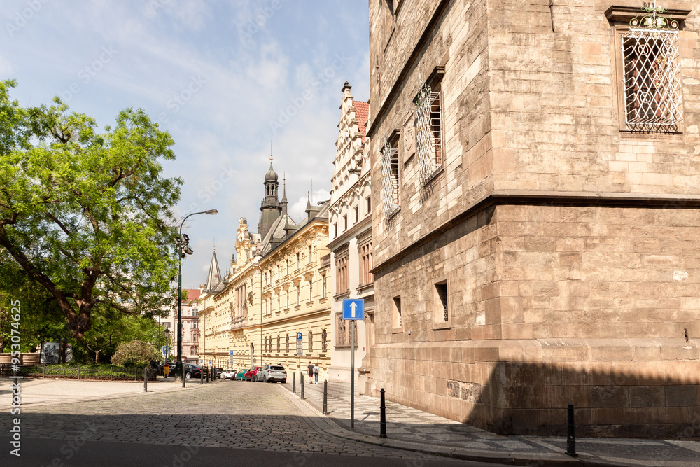 Obraz premium Old houses on Charles Square in old part of the Prague in the Czech Republic