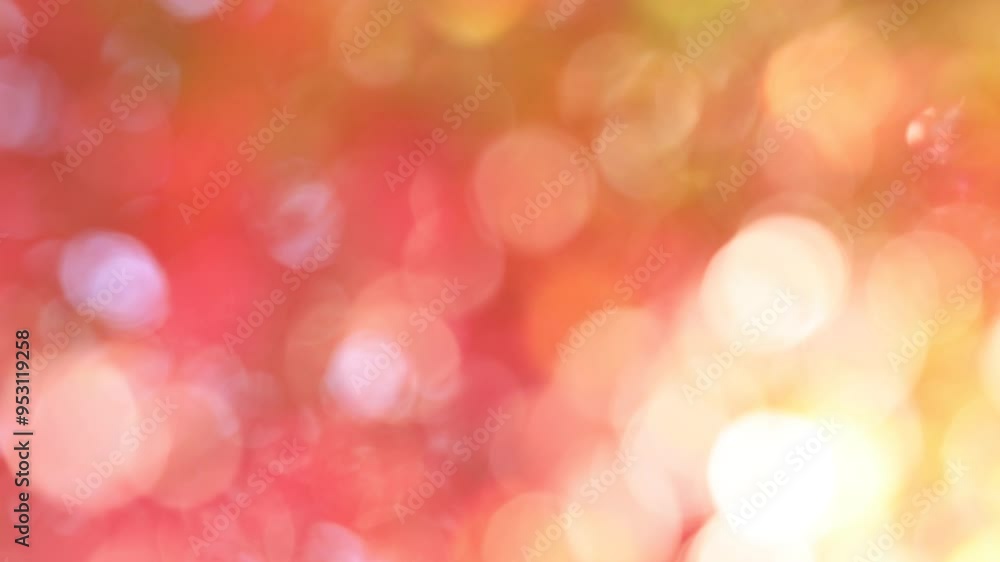 風に揺れるカエデの紅葉のアウトフォーカス 風に揺れるカエデの紅葉のアウトフォーカス