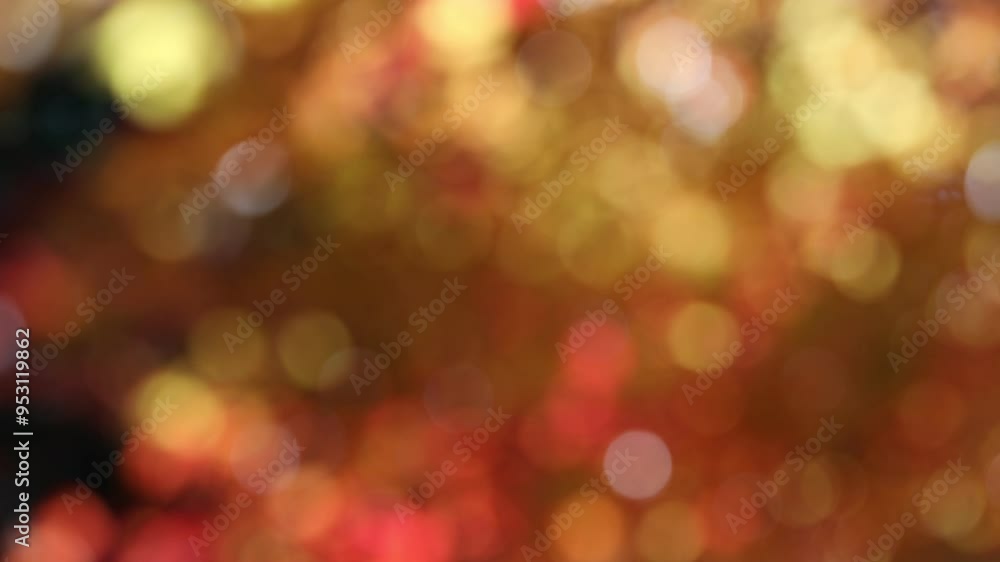 風に揺れるカエデの紅葉のアウトフォーカス 風に揺れるカエデの紅葉のアウトフォーカス