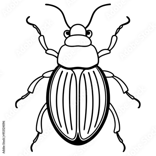Collection of high detailed insects sketches. Hand drawn beetles illustrations in vintage style. Entomological drawings set. Beetles outlines for monogram, banner, poster, tattoo, cards design.