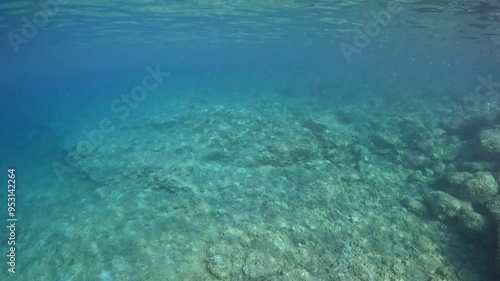 Wallpaper Mural Rocky seascape with sun rays,  seabed and big swimming school of small fish. Underwater video from snorkeling in the sea, ocean wildlife. Fish in the water, marine life, travel footage.  Torontodigital.ca