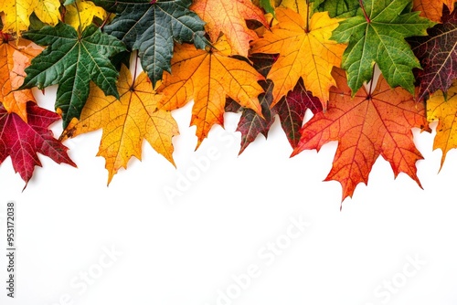 Autumn Maple Leaves Flat Lay White Background created with Generative AI