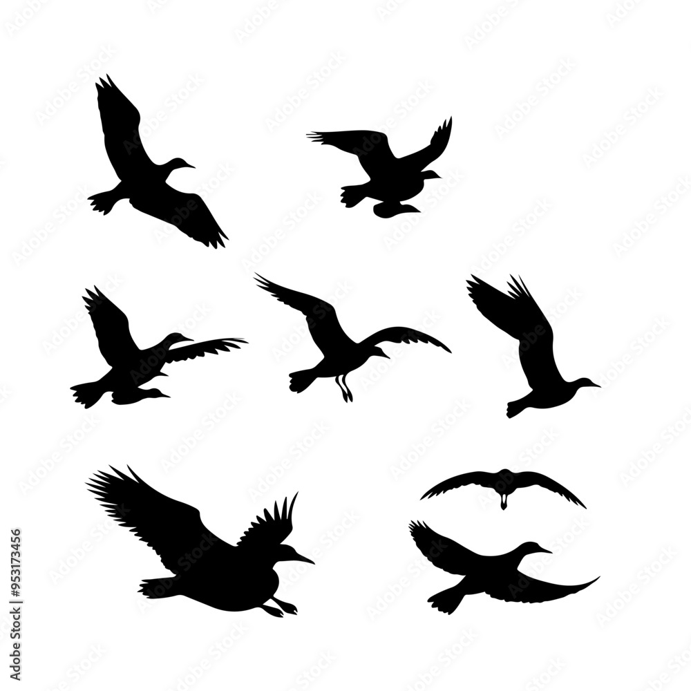 Silhouette of albatross vector set illustration Silhouette of albatross vector set illustration