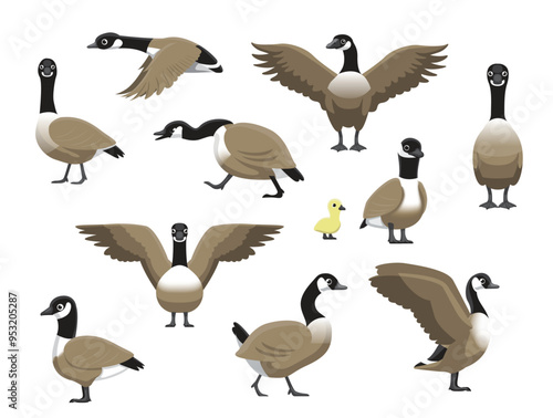 Canada Goose Various Poses Funny Cartoon Vector Character Illustration