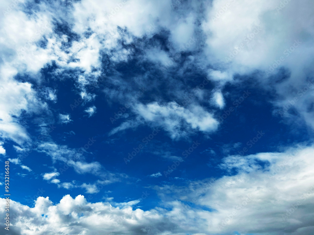 Fototapeta premium 파란하늘