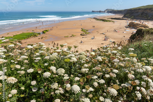 Canallave beach in Pielagos Cantabria Spain      orning of summer with low tide, Liencres dunes natural park. photo