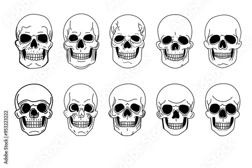 Conjunto de set de vectores de calaveras estilizadas en blanco y negro