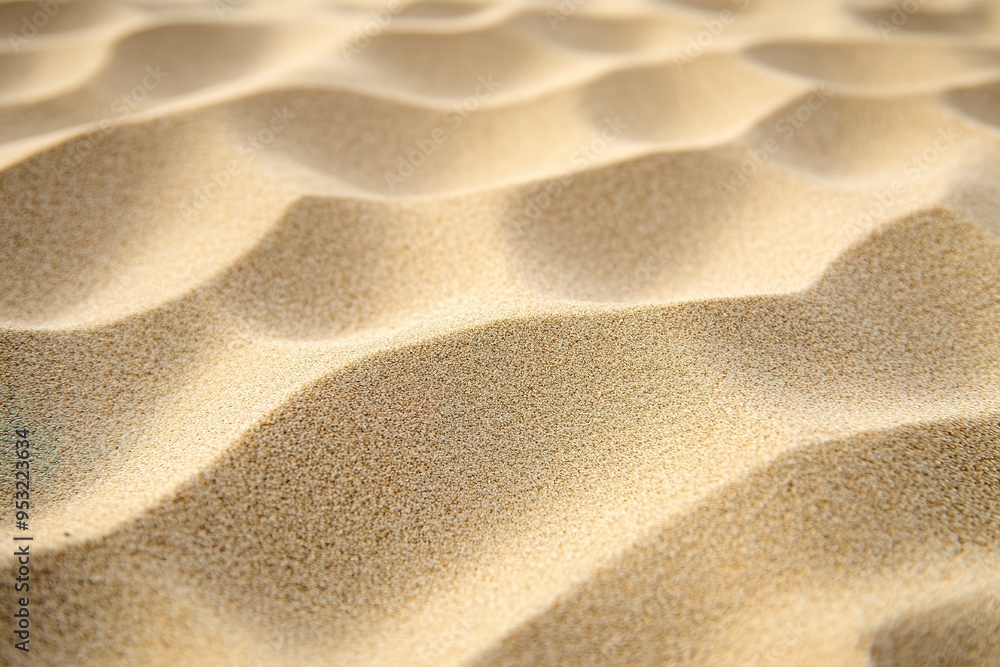 Sunlit sand dunes with shadows and texture Sunlit sand dunes with shadows and texture