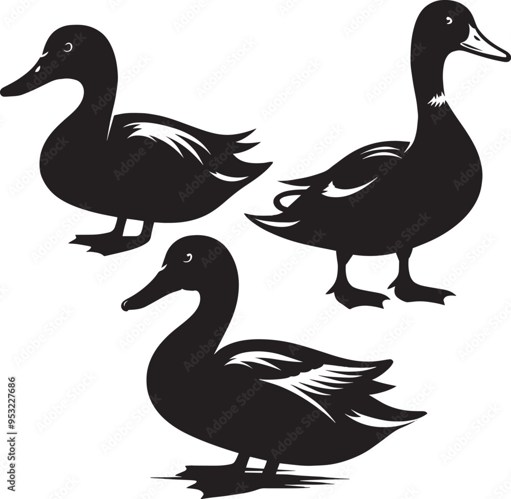 Duck Silhouette isolated on white background Minimalist duck vector illustration Duck Silhouette isolated on white background Minimalist duck vector illustration