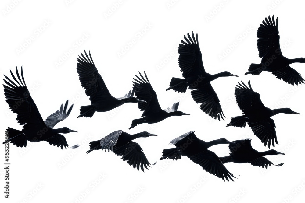 Obraz premium A group of birds flying together through the clear blue sky