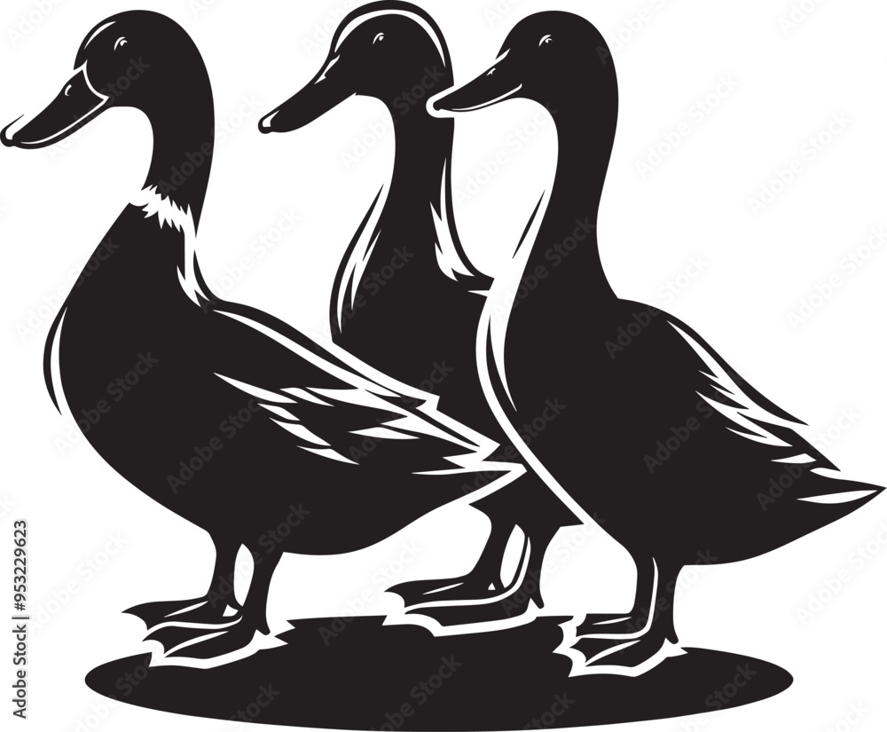 Duck Silhouette isolated on white background Minimalist duck vector illustration Duck Silhouette isolated on white background Minimalist duck vector illustration