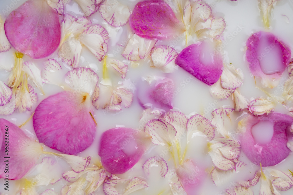 abstract pink pastel floral background abstract pink pastel floral background