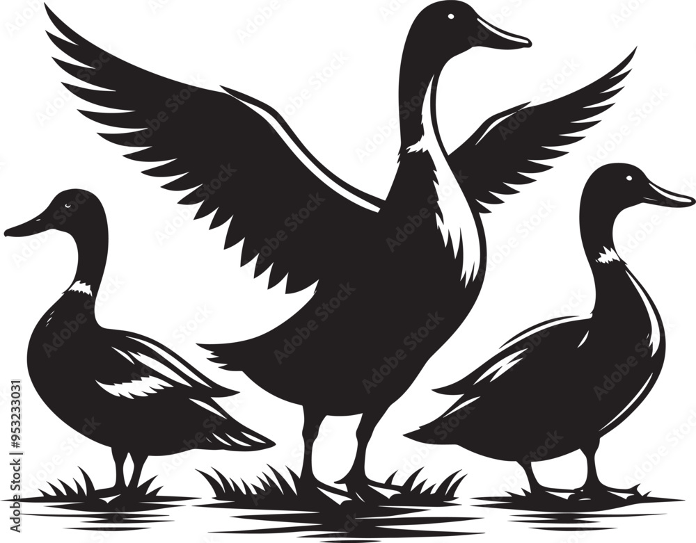 Duck Silhouette isolated on white background Minimalist duck vector illustration Duck Silhouette isolated on white background Minimalist duck vector illustration