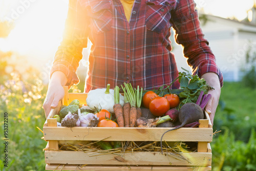 a farmer woman holds a wooden box with fresh harvested vegetables in the setting sun, a close-up photo with a place for text. Concept: biology, bio-products, bioecology, vegetarianism, veganism