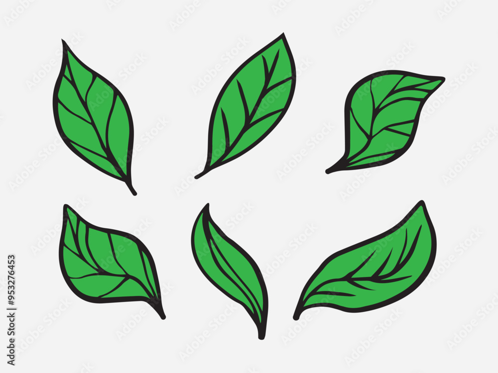 Naklejka premium Green leaf set vector illustration