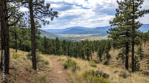 A tranquil mountain trail with tall pines, a gentle slope, and a view of a distant valley