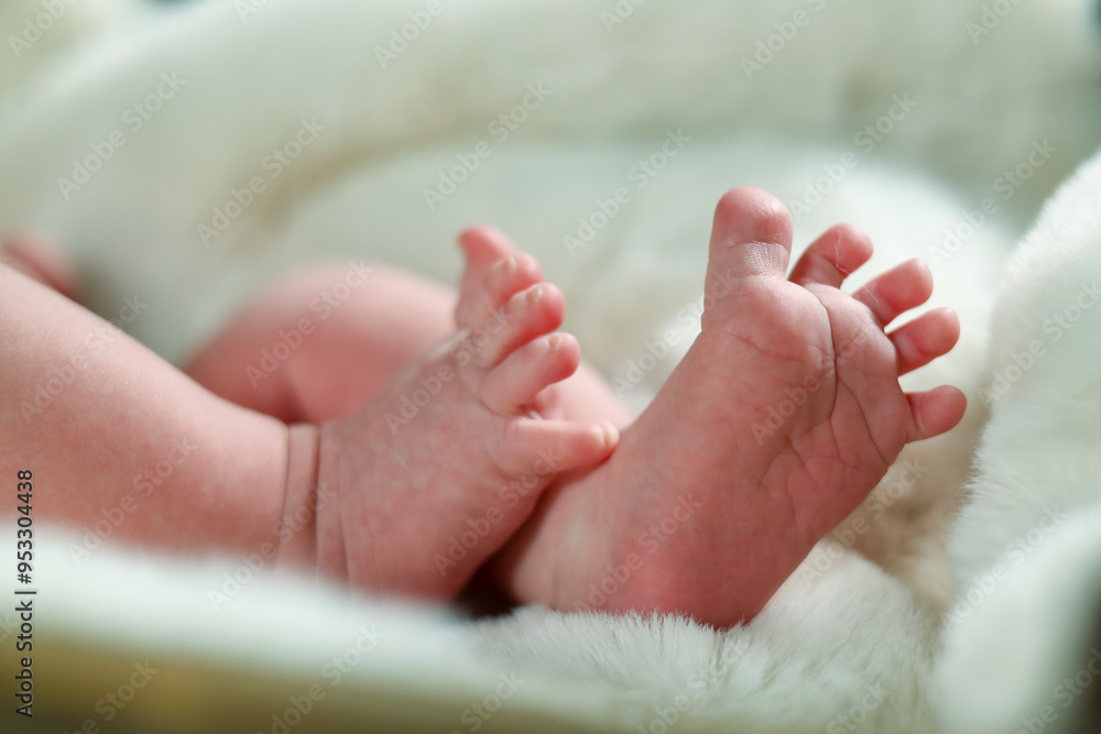 Adorable baby feet resting on a fluffy sheepskin rug. Adorable baby feet resting on a fluffy sheepskin rug.