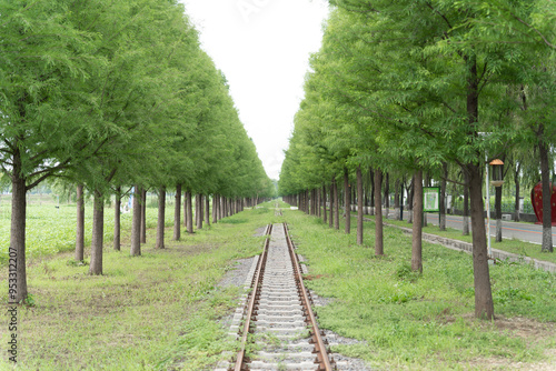 empty railway with green trees photo