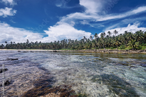 Rock natural pool lagoon. Coconut palm tree beach.