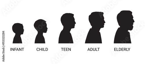 Stages man growing up. Boy infant, child, teen, adult, elderly. Silhouettes men of different ages Collection.