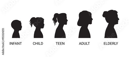 Stages woman growing up icon. Girl infant, child, teen, adult Women and elderly. Silhouette women different ages isolated Collection.