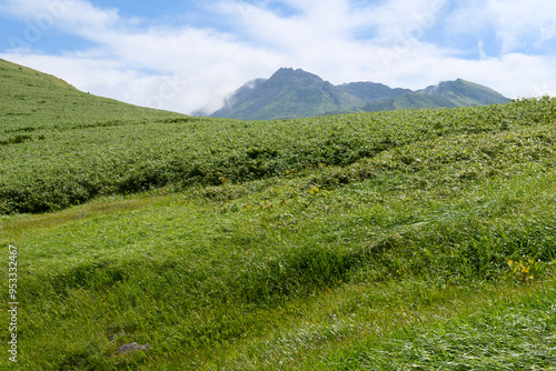 河原宿付近の草原に頭を覗かせる鳥海山 photo