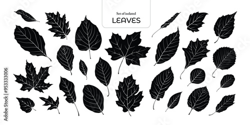 Set of isolated dry autumn leaves. Cute Autumn foliage illustration in hand drawn style. Black silhouette on transparent background.