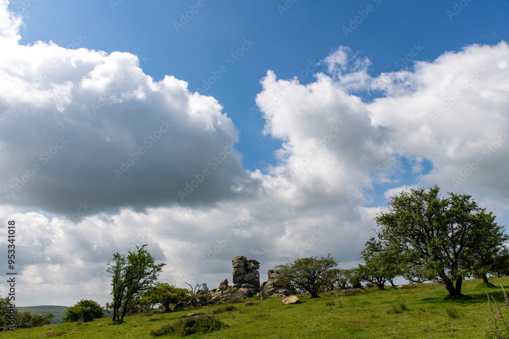 Granite outcrop King’s Tor just outside Merrivale, Yelverton, UK in Dartmoor National Park south of route B3357 between agricultural landscape with meadows and trees Granite outcrop King’s Tor just outside Merrivale, Yelverton, UK in Dartmoor National Park south of route B3357 between agricultural landscape with meadows and trees