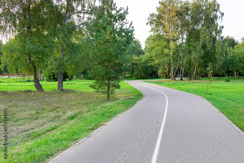 A road with trees on both sides and a grassy area in the background