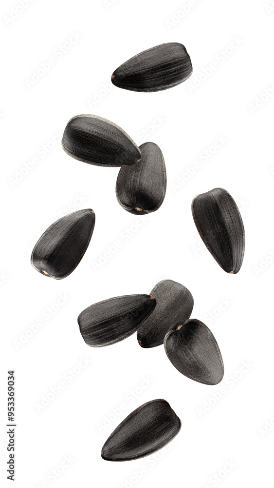 Falling sunflower seed, isolated on white background, full depth of field Falling sunflower seed, isolated on white background, full depth of field