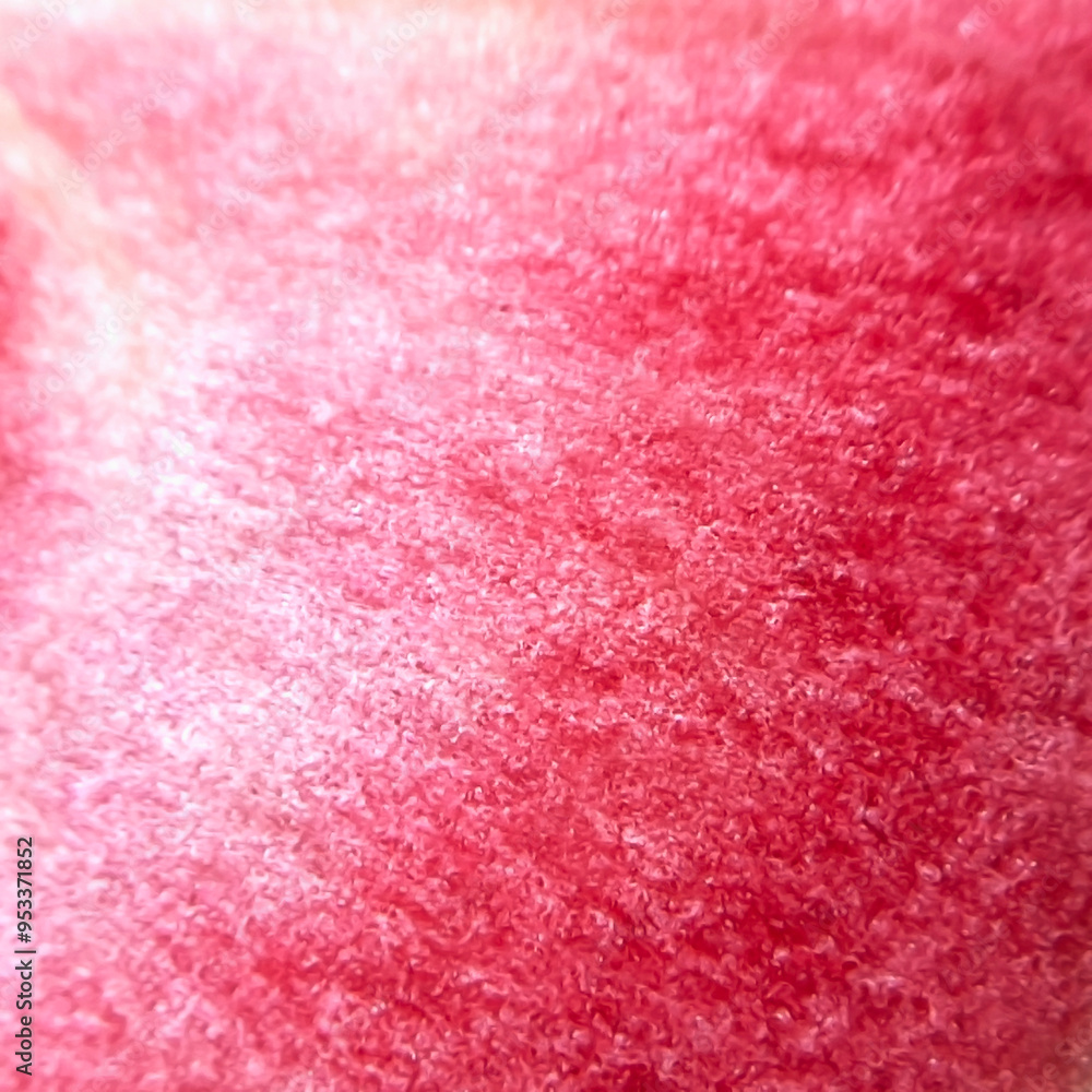 Obraz premium apple with red pulp close up