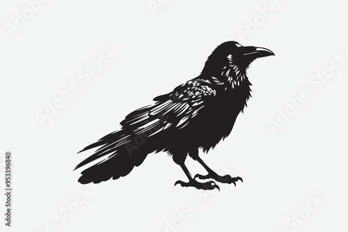 Crow vector art and illustration photo