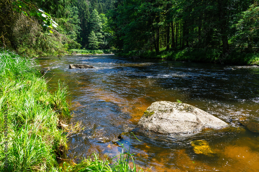 Hiking along Ilz River in the Bavarian Forest 2024 Hiking along Ilz River in the Bavarian Forest 2024