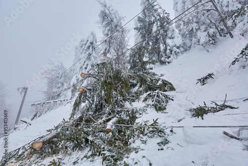 Snowy landscape with mountains and forest photo