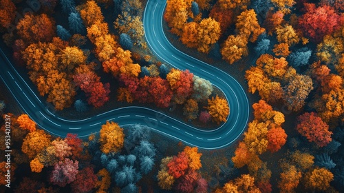 Travel via a winding road through an autumn forest and see the fall foliage from above. photo