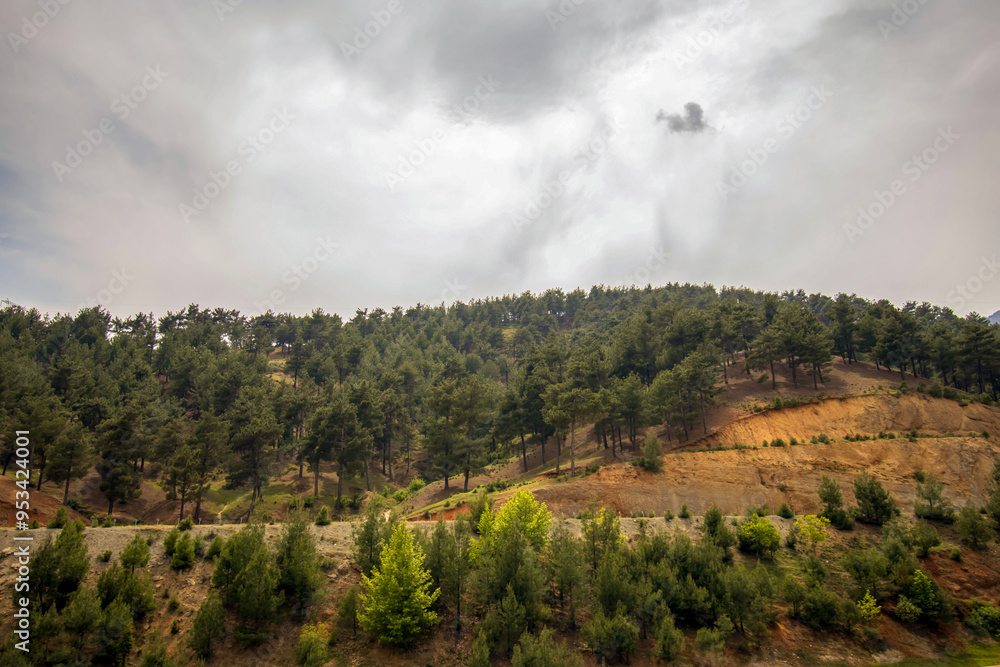 Fototapeta premium clouds over forested mountain