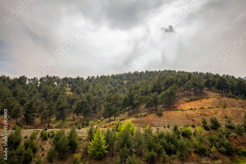 clouds over forested mountain