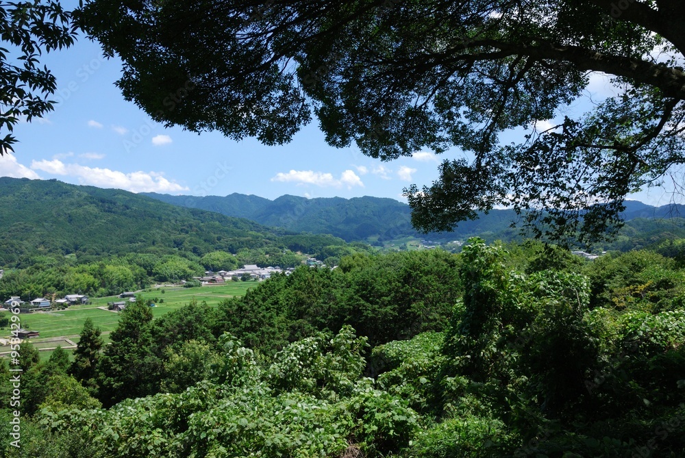 飛鳥の風景 飛鳥の風景