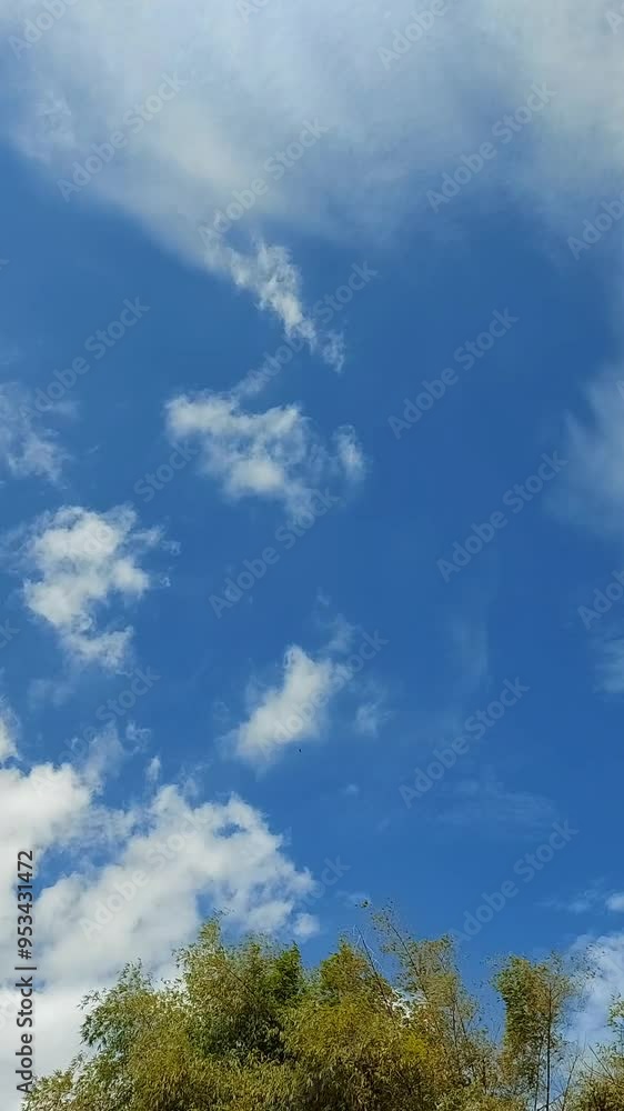 Blue sky white clouds. Puffy fluffy white clouds. Cumulus cloud cloudscape timelapse. Summer blue sky time lapse. Nature weather blue sky. White clouds background. Cloud time lapse Blue sky white clouds. Puffy fluffy white clouds. Cumulus cloud cloudscape timelapse. Summer blue sky time lapse. Nature weather blue sky. White clouds background. Cloud time lapse