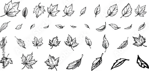 Charcoal doodle illustration of hand drawn autumn leaves including maple oak and birch in perfect for print design showcasing fall foliage and seasonal nature themes