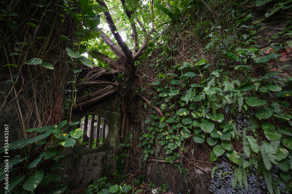 A corner of abandoned historical house build by brick, wall and roof full of plants growing, in Keelung city, Taiwan. A corner of abandoned historical house build by brick, wall and roof full of plants growing, in Keelung city, Taiwan.
