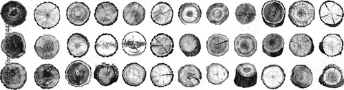 Large set of charcoal doodle scribbles tree rings cross sections in illustrating wood grain texture with annual rings from sawn trunks perfect for lumberjack forestry designs