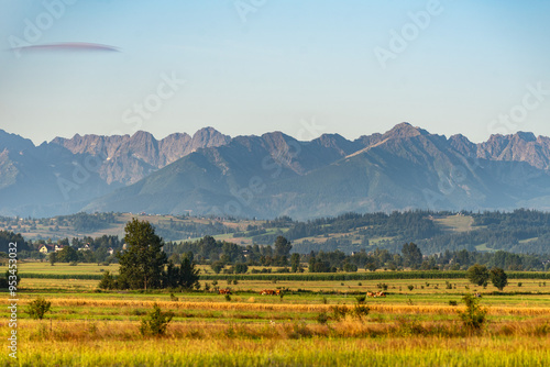 Fototapeta Naklejka Na Ścianę i Meble -  Mountains