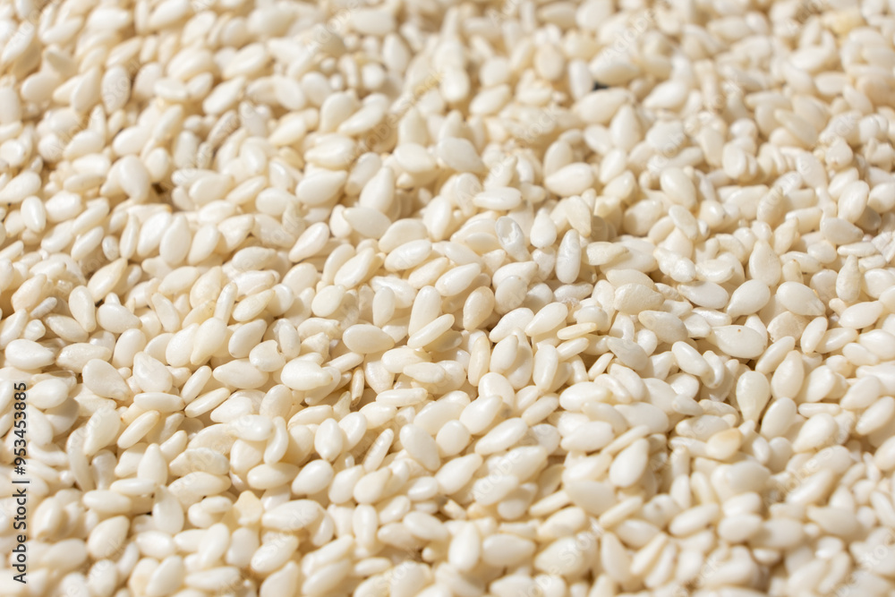 White sesame background, macro side view. White sesame background, macro side view.